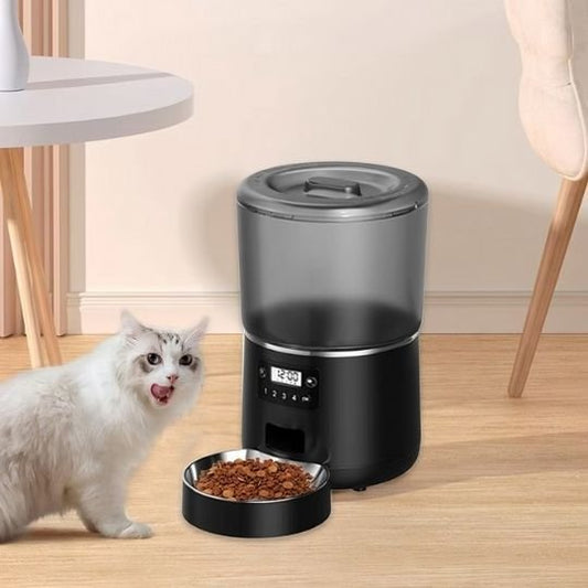 chat lèche moustache a cote distributeur croquette chat