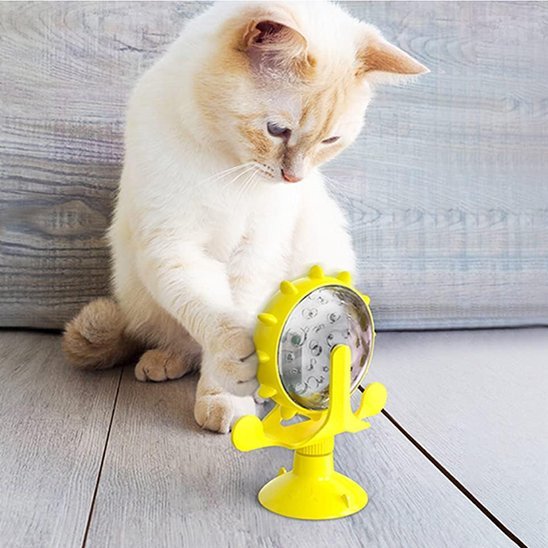 chat beige jouant distributeur de croquettes pour chat jaune
