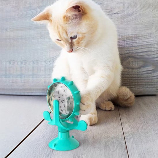 chat beige jouant distributeur de croquettes pour chat turquois
