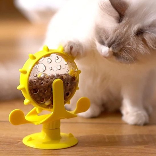 chat blanc tête brun concentrer distributeur de croquettes pour chat