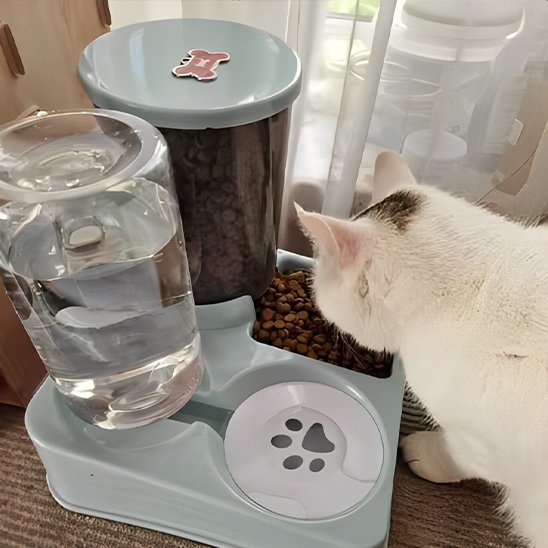 chat blanc tache brun mange croquette Distributeur de croquettes pour chat