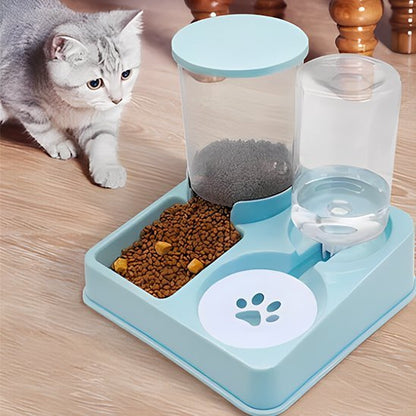 chaton gris approche distributeur de croquettes pour chat