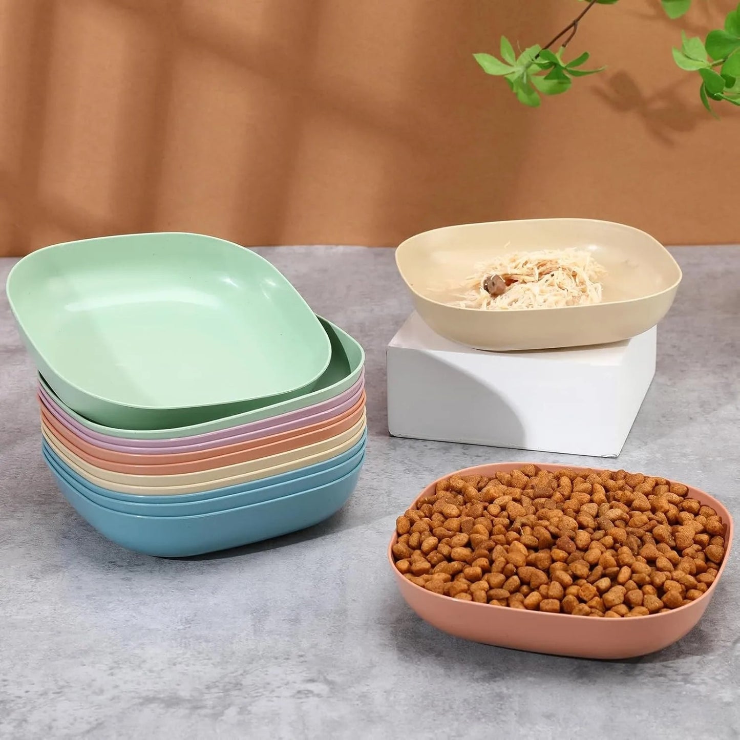 dix gamelles chat multicolore