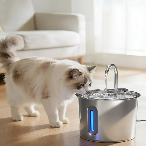 eau fraiche avec filtre fontaine a eau pour chat