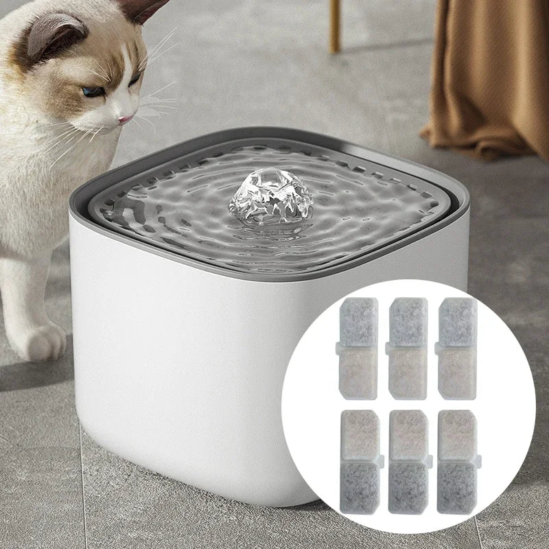 l'eau est propre avec le filtre fontaine a eau chat