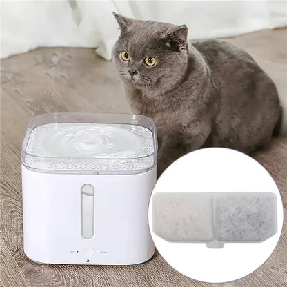 eau propre et fraiche avec le filtre fontaine a eau chat