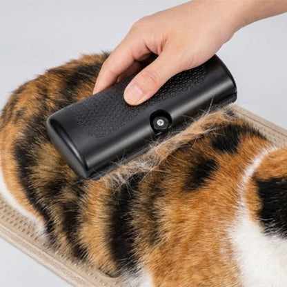 femme brosse chat taché avec brosse poil chat