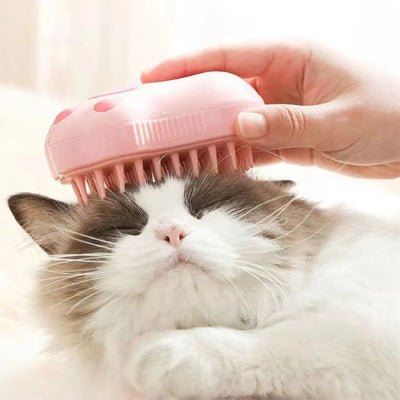 Chat en cours de brossage avec une brosse pour chat