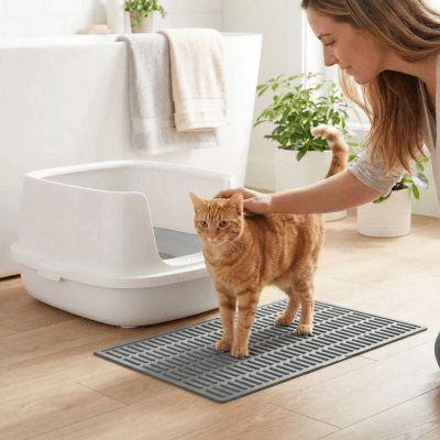 une femme caresse son chat debout sur le tapis litiere chat