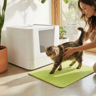 femme caresse son chat sur le tapis pour chat