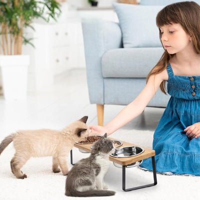 une fillette donne a manger dans une gamelle chat 