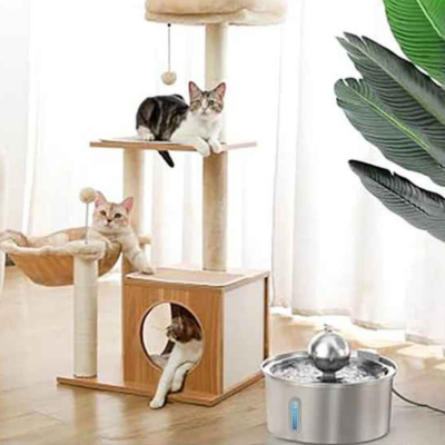 fontaine à chat placée près d'une arbre chat