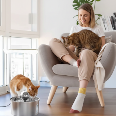 fontaine à chat placée près de la propriétaire