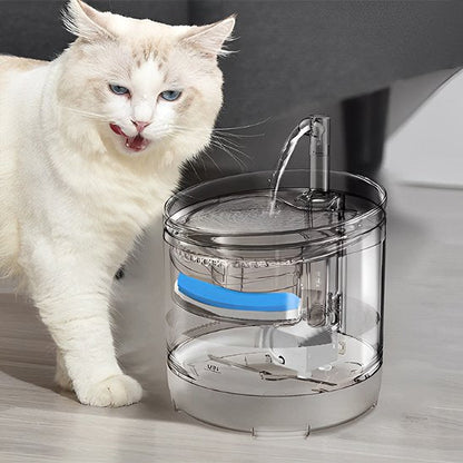 chat beige lèche moustache fontaine a eau chat