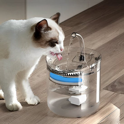 chat beige oreille brun buvant eau fontaine a eau chat