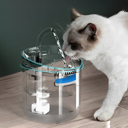 chat blanc oreille brun buvant eau fontaine a eau chat