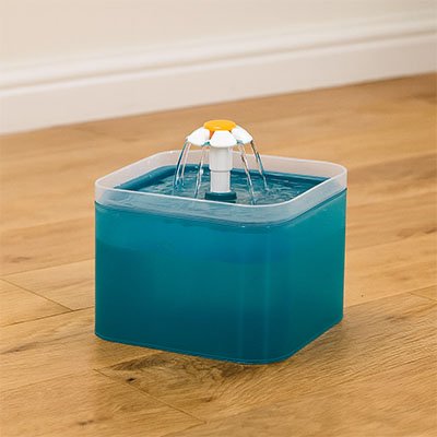 une fontaine à eau chat avec une coloris turquoise 
