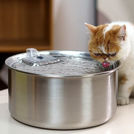fontaine a eau chat bois eau bien