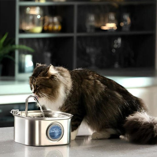 fontaine a eau chat bois robinet