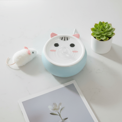 une fontaine a eau chat ceramique vue d'en haut