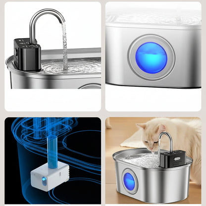 fontaine a eau chat detecteur inox