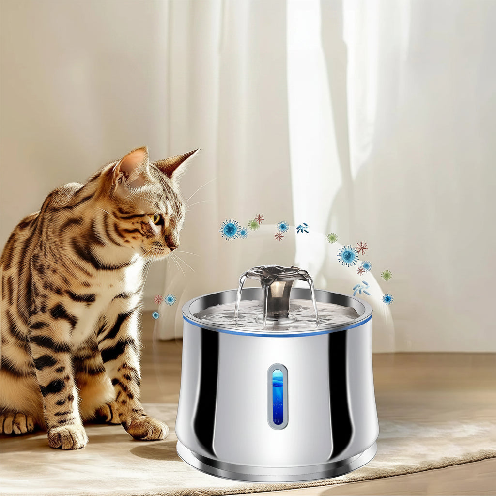 fontaine à eau chat inox protège le chat des bactérie 