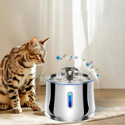 fontaine à eau chat inox protège le chat des bactérie 