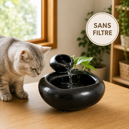 fontaine à eau pour chat céramique sans filtre