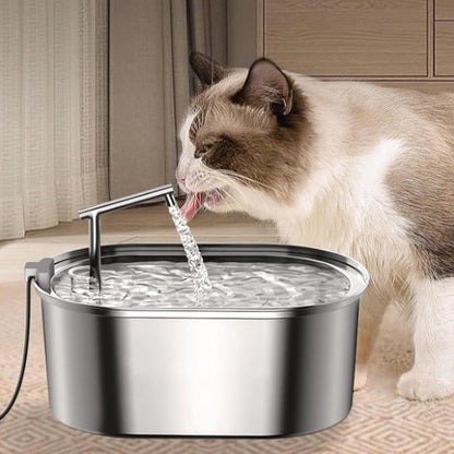 chat beige buvant fontaine a eau pour chat