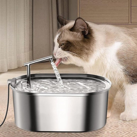 chat beige buvant fontaine a eau pour chat
