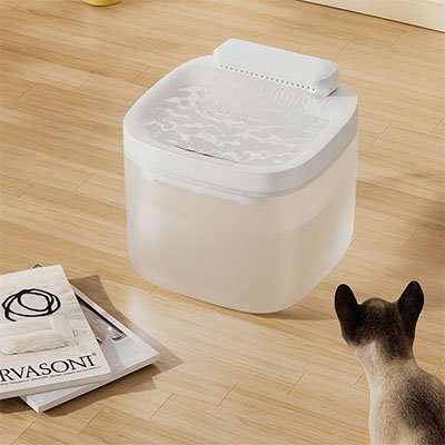 chat regarde fontaine a eau pour chat a cote livres