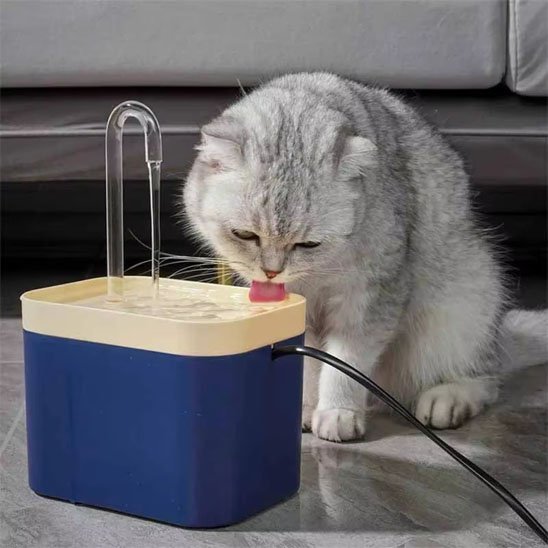 chat gris boit eau frais fontaine a eau pour chat bleu