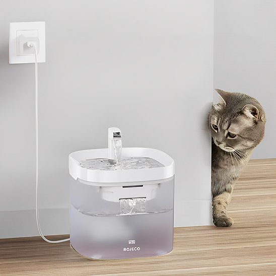FONTAINE A EAU POUR CHAT | PetHydrate™ - L'Univers Du Chat