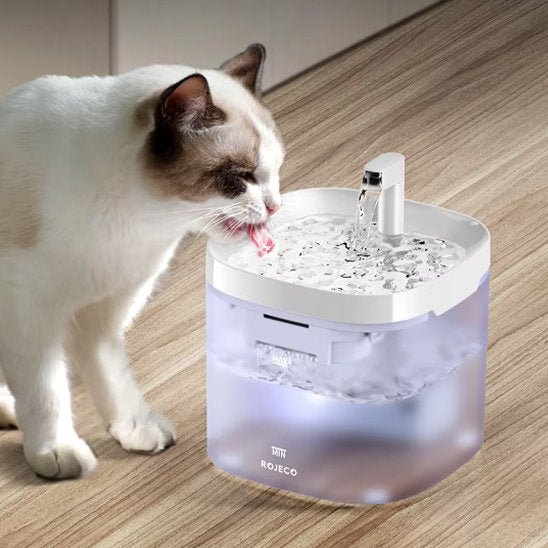 FONTAINE A EAU POUR CHAT | PetHydrate™ - L'Univers Du Chat