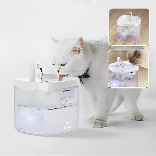 FONTAINE A EAU POUR CHAT | PetHydrate™ - L'Univers Du Chat