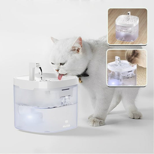 FONTAINE A EAU POUR CHAT | PetHydrate™ - L'Univers Du Chat