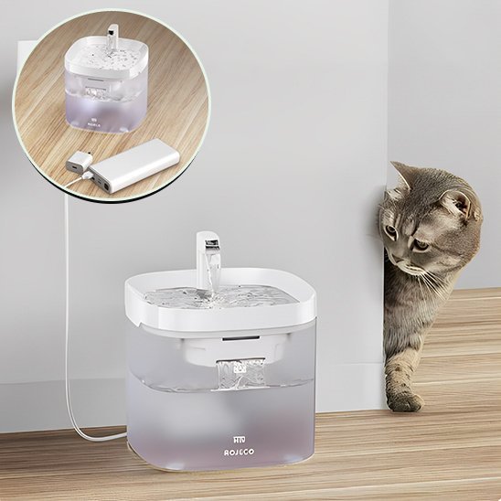 FONTAINE A EAU POUR CHAT | PetHydrate™ - L'Univers Du Chat