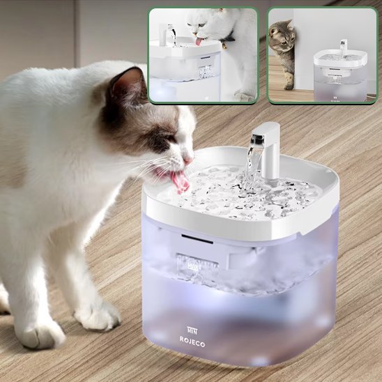 FONTAINE A EAU POUR CHAT | PetHydrate™ - L'Univers Du Chat