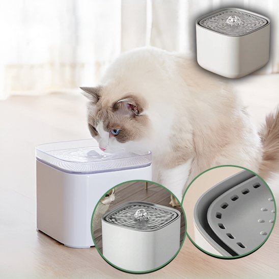 beau chat yeux bleu buvant fontaine a eau pour chat 