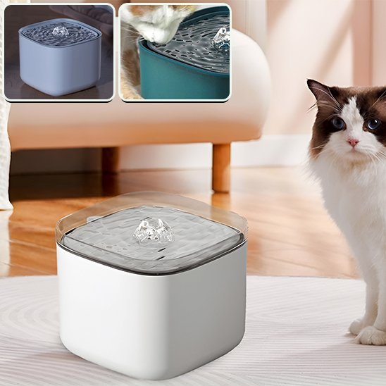 chat beau debout fontaine a eau pour chat blanc