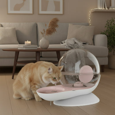 fontaine chat en forme de escargot de couleur rose