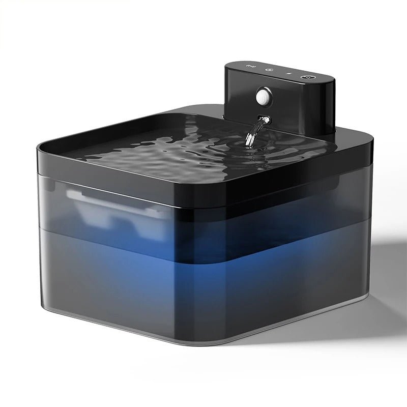 élégante-fontaine-eau-chat-bleu-nuit-noire