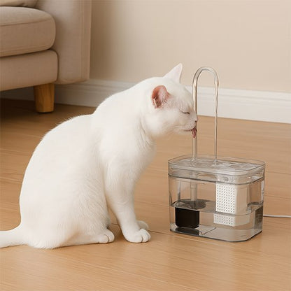 chat blanc neige buvant yeux fermé fontaine eau chat