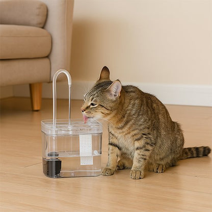 dans-salon-chat-buvant-eau-fontaine-eau-chat