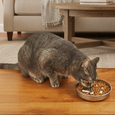 Gamelle anti glouton chat chat rosee