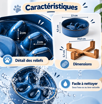gamelle anti glouton pour chat infographie