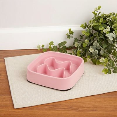 Gamelle anti-glouton rose posée sur un tapis, avec une touche de verdure