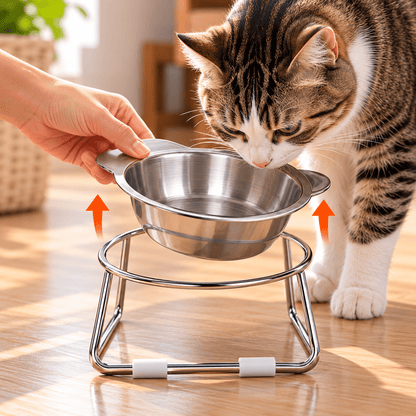 gamelle chat en hauteur amovible