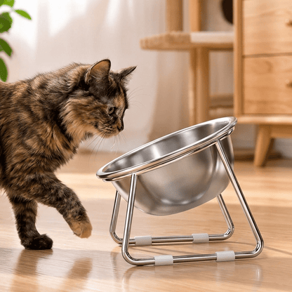 gamelle chat en hauteur de côté