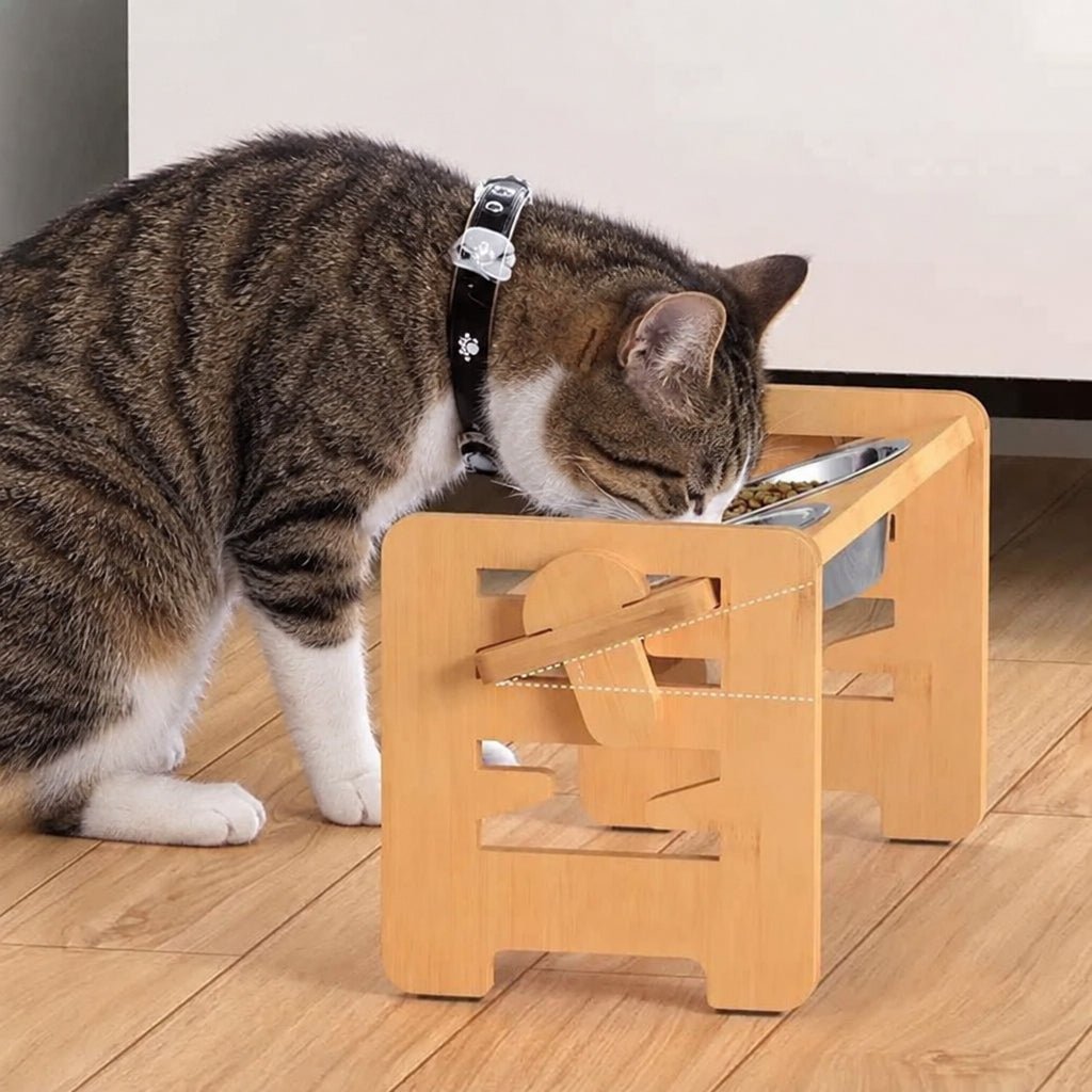 chat mangeant dans la gamelle chat reglable en hauteur